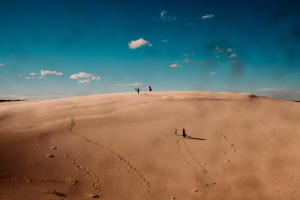 sand dunes in texas